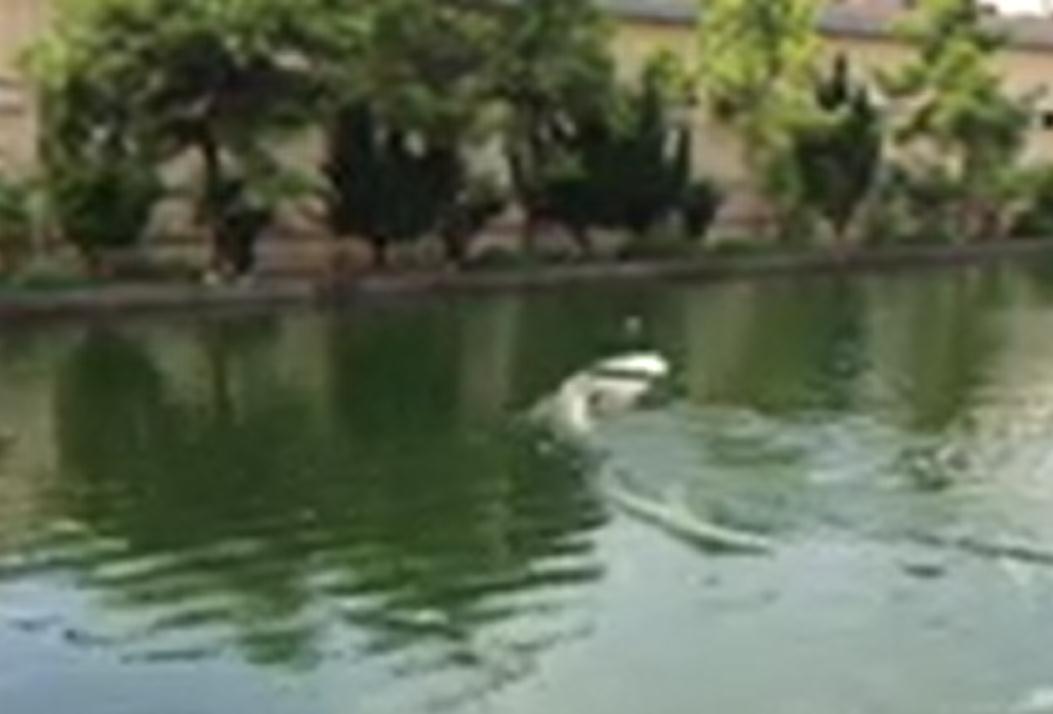 无人船路径规划